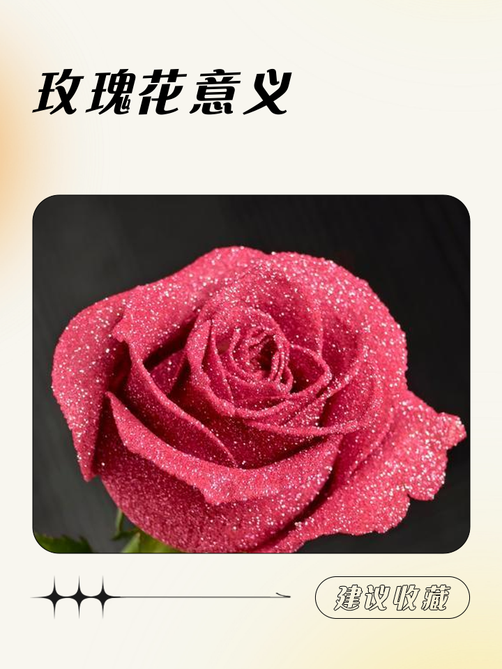 送玫瑰花的含义有哪些