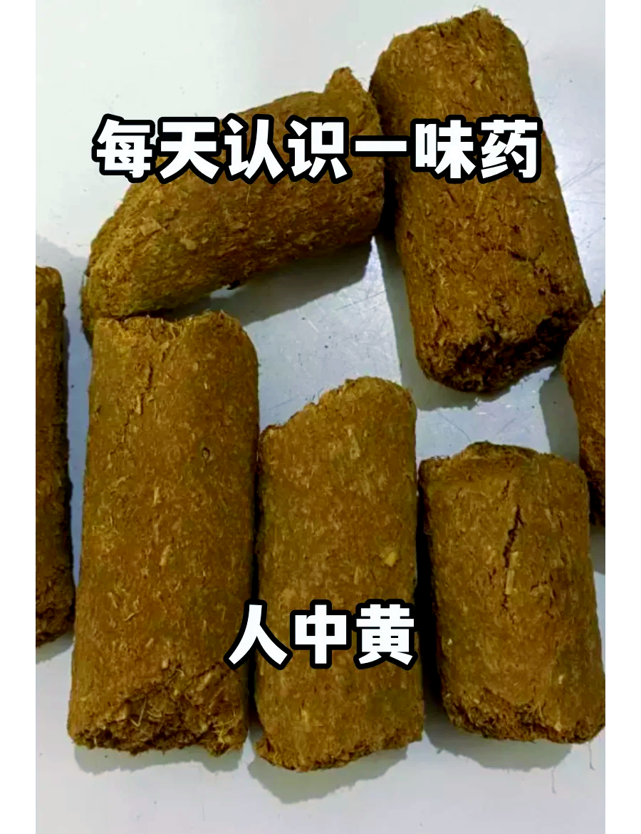 人中黄和人中白分别是什么